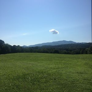 Meet your Posher, Kasha